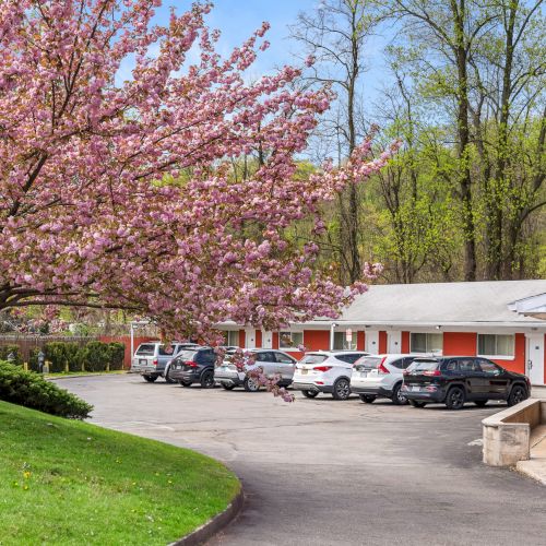 A row of single-story red and white buildings beside a parking lot, with a flowering pink tree in the foreground and green grass on the left.