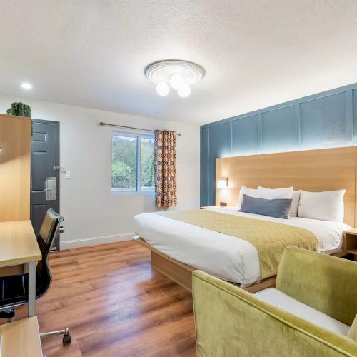 A modern hotel room with a large bed, teal headboard wall, two lamps, a desk and chair, a small seating area, and wooden floors, bright and clean.